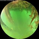 ./images/calvert/underwater/20260626/underwater20260626_085002M.jpg
