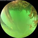 ./images/calvert/underwater/20260626/underwater20260626_085501M.jpg