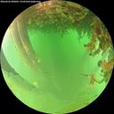 ./images/calvert/underwater/20260626/underwater20260626_090002M.jpg