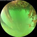 ./images/calvert/underwater/20260626/underwater20260626_090501M.jpg