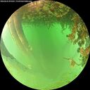 ./images/calvert/underwater/20260626/underwater20260626_091001M.jpg