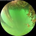 ./images/calvert/underwater/20260626/underwater20260626_091501M.jpg