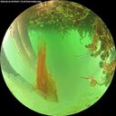 ./images/calvert/underwater/20260626/underwater20260626_093001M.jpg
