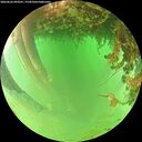 ./images/calvert/underwater/20260626/underwater20260626_093501M.jpg