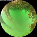 ./images/calvert/underwater/20260626/underwater20260626_094002M.jpg