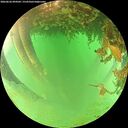 ./images/calvert/underwater/20260626/underwater20260626_094501M.jpg