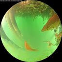 ./images/calvert/underwater/20260626/underwater20260626_095002M.jpg