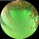 ./images/calvert/underwater/20260626/underwater20260626_095501M.jpg