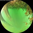 ./images/calvert/underwater/20260626/underwater20260626_100001M.jpg