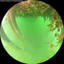 ./images/calvert/underwater/20260626/underwater20260626_100502M.jpg