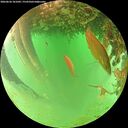./images/calvert/underwater/20260626/underwater20260626_101002M.jpg