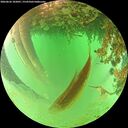 ./images/calvert/underwater/20260626/underwater20260626_102001M.jpg