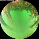 ./images/calvert/underwater/20260626/underwater20260626_102501M.jpg