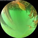 ./images/calvert/underwater/20260626/underwater20260626_103501M.jpg
