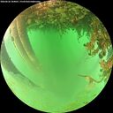 ./images/calvert/underwater/20260626/underwater20260626_104001M.jpg