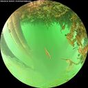 ./images/calvert/underwater/20260626/underwater20260626_104501M.jpg