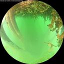 ./images/calvert/underwater/20260626/underwater20260626_105001M.jpg