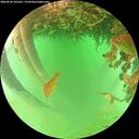 ./images/calvert/underwater/20260626/underwater20260626_105501M.jpg