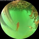 ./images/calvert/underwater/20260626/underwater20260626_110001M.jpg