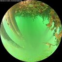 ./images/calvert/underwater/20260626/underwater20260626_112001M.jpg