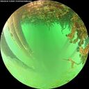 ./images/calvert/underwater/20260626/underwater20260626_113002M.jpg