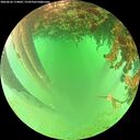 ./images/calvert/underwater/20260626/underwater20260626_114001M.jpg