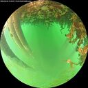 ./images/calvert/underwater/20260626/underwater20260626_114501M.jpg