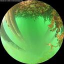 ./images/calvert/underwater/20260626/underwater20260626_115002M.jpg