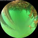 ./images/calvert/underwater/20260626/underwater20260626_115501M.jpg