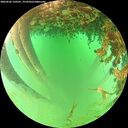 ./images/calvert/underwater/20260626/underwater20260626_120501M.jpg