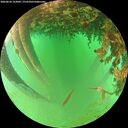 ./images/calvert/underwater/20260626/underwater20260626_122001M.jpg