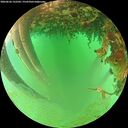 ./images/calvert/underwater/20260626/underwater20260626_122502M.jpg