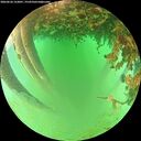 ./images/calvert/underwater/20260626/underwater20260626_123001M.jpg