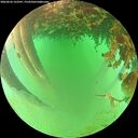 ./images/calvert/underwater/20260626/underwater20260626_123501M.jpg