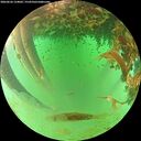 ./images/calvert/underwater/20260626/underwater20260626_124002M.jpg
