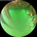 ./images/calvert/underwater/20260626/underwater20260626_124501M.jpg