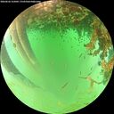 ./images/calvert/underwater/20260626/underwater20260626_125001M.jpg