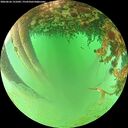 ./images/calvert/underwater/20260626/underwater20260626_131002M.jpg