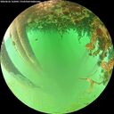 ./images/calvert/underwater/20260626/underwater20260626_132001M.jpg