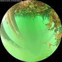 ./images/calvert/underwater/20260626/underwater20260626_133501M.jpg