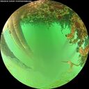 ./images/calvert/underwater/20260626/underwater20260626_134501M.jpg