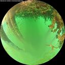 ./images/calvert/underwater/20260626/underwater20260626_135002M.jpg