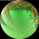 ./images/calvert/underwater/20260626/underwater20260626_140001M.jpg