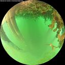 ./images/calvert/underwater/20260626/underwater20260626_141001M.jpg