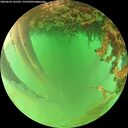 ./images/calvert/underwater/20260626/underwater20260626_141501M.jpg