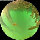 ./images/calvert/underwater/20260626/underwater20260626_143001M.jpg