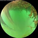 ./images/calvert/underwater/20260626/underwater20260626_145501M.jpg