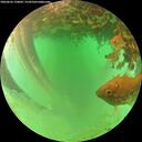 ./images/calvert/underwater/20260626/underwater20260626_150001M.jpg