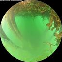 ./images/calvert/underwater/20260626/underwater20260626_150501M.jpg