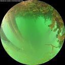 ./images/calvert/underwater/20260626/underwater20260626_151001M.jpg